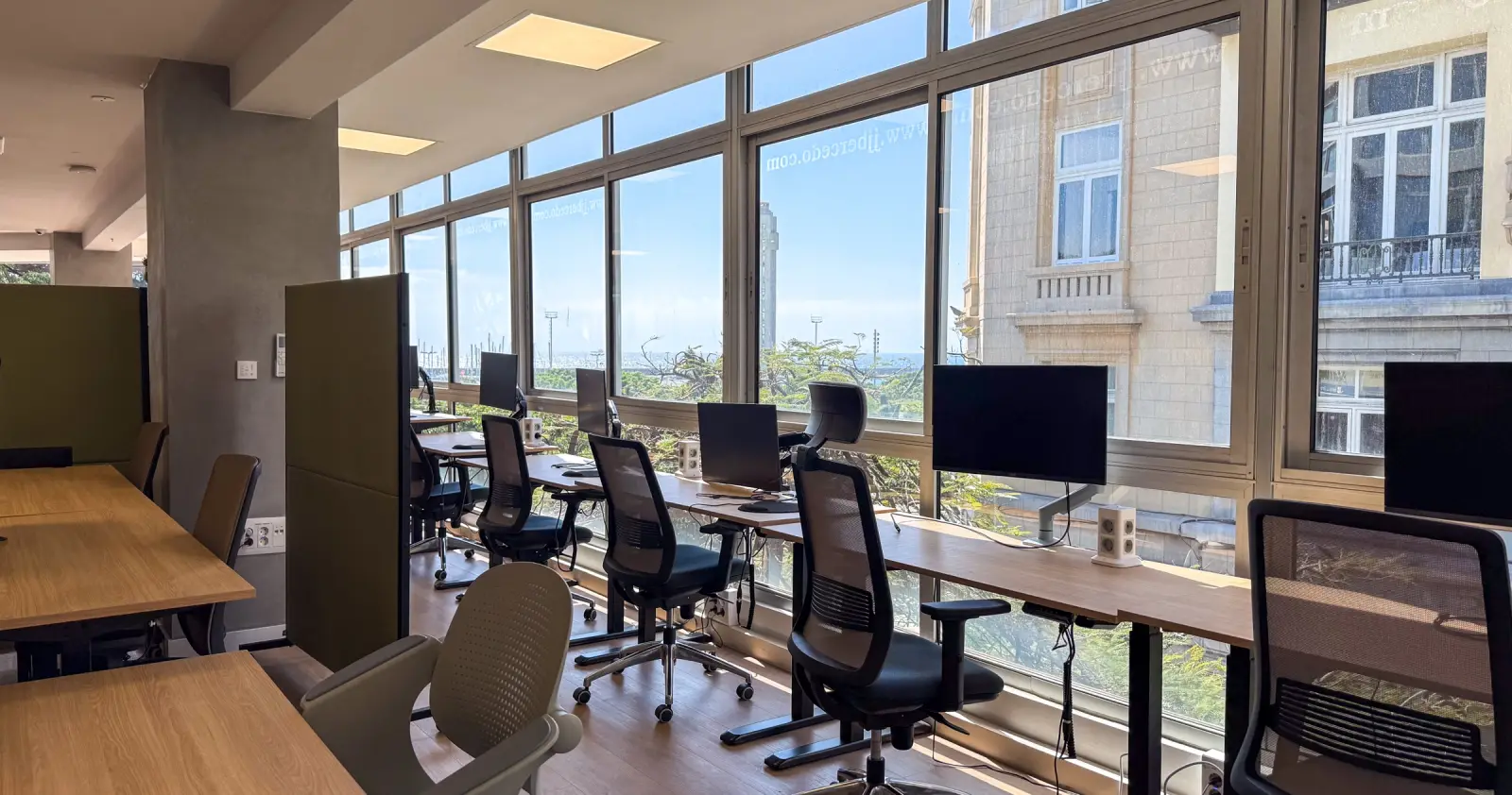 Coworking panorámico · Una vista completa de los puestos junto a los ventanales y la luz natural del espacio.