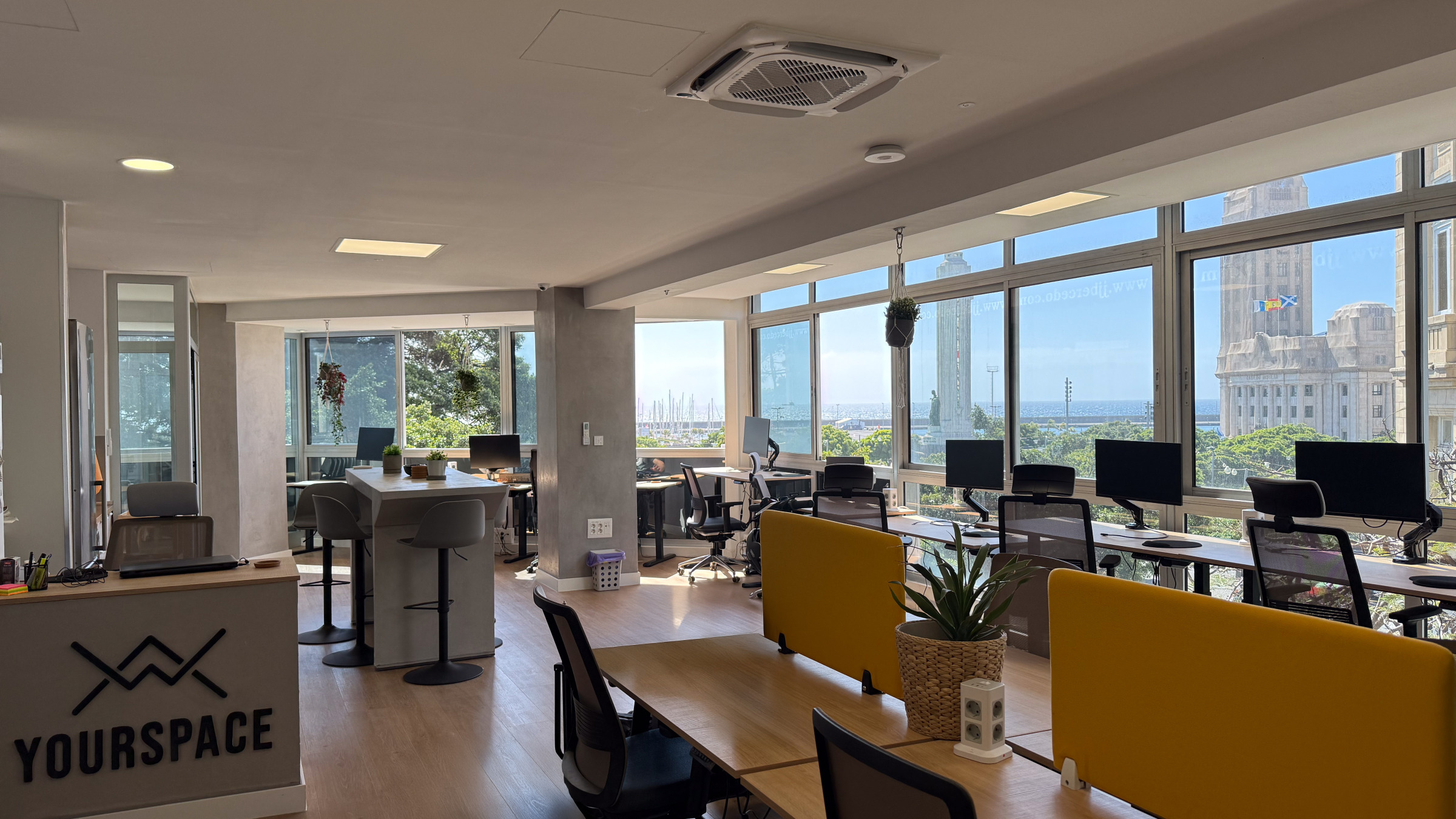 Recepción y zona de trabajo